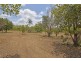 155 Setosa Road, Humpty Doo NT 0836