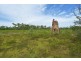 127 Kowari Road, Berry Springs NT 0838