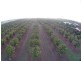 167 Bartlett Road, Horseshoe Lagoon QLD 4809