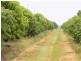 175 Bartlett Road, Horseshoe Lagoon QLD 4809
