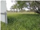 163 Skydiver Road, Woodstock QLD 4816