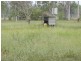 163 Skydiver Road, Woodstock QLD 4816