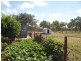 12 Torrens Street, Torrens Creek QLD 4816