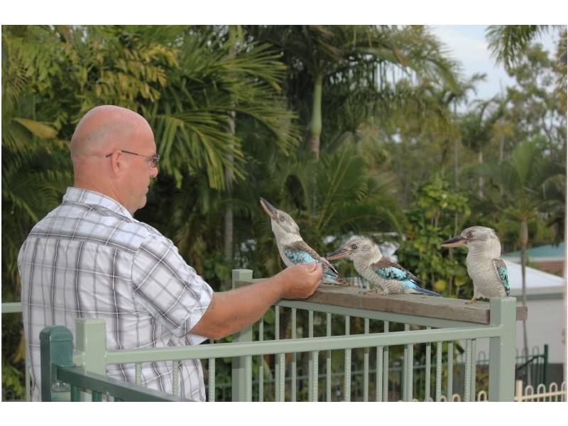 195/61-79 MANDALAY AVENUE, Nelly Bay QLD 4819