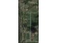 Gumlow QLD 4815