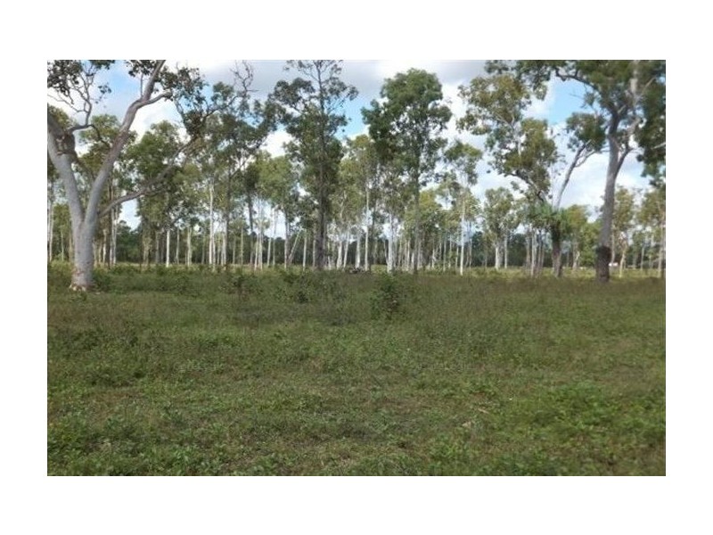 477 Gieseman Road, Black River QLD 4818