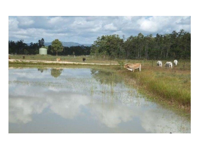 477 Gieseman Road, Black River QLD 4818