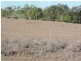 Lot 1 Burdekin Dam Falls Road, Ravenswood QLD 4816