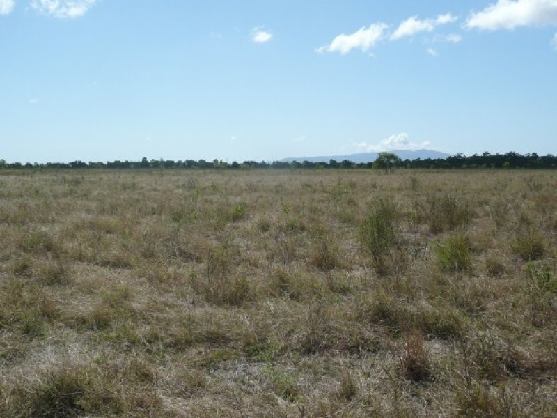 512 Tondara Road, Guthalungra QLD 4805