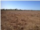 512 Tondara Road, Guthalungra QLD 4805