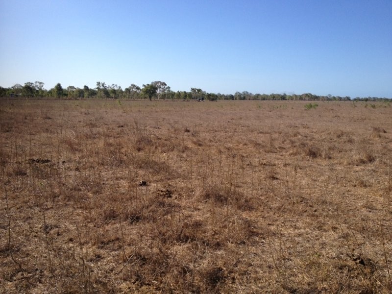 512 Tondara Road, Guthalungra QLD 4805