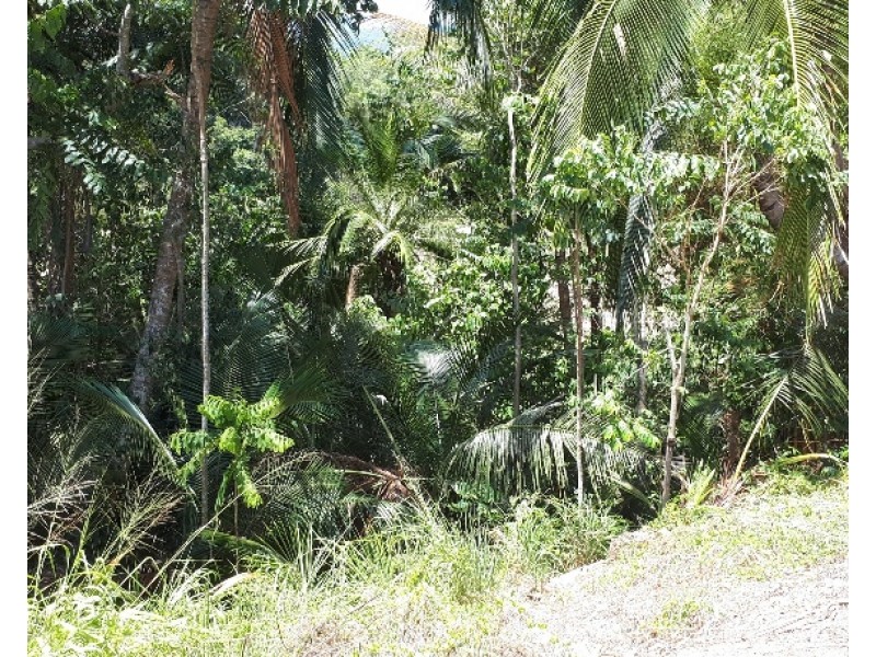 34 Old Bridge Road, Long Pocket QLD 4850