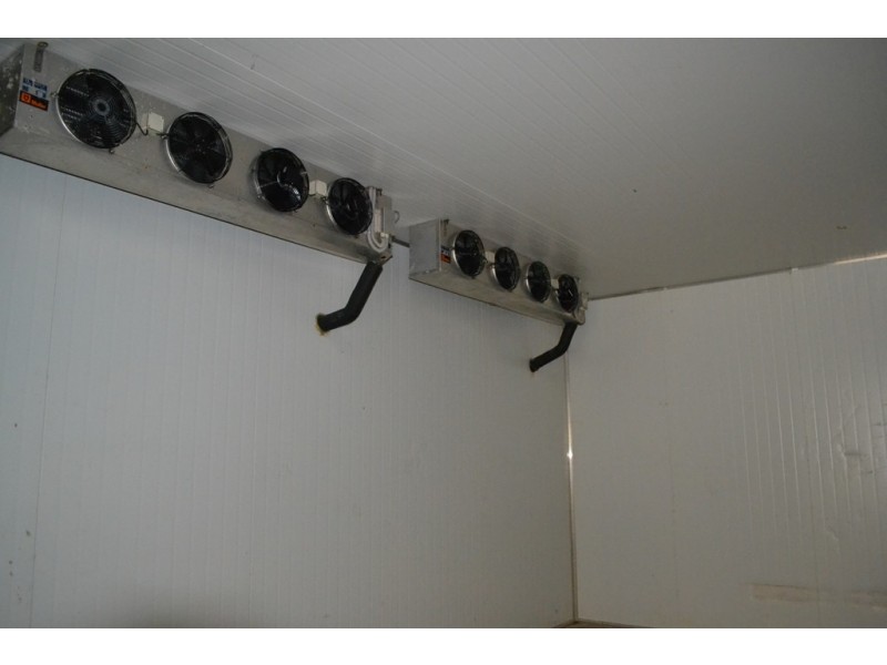 11 MACROSSAN STREET, South Townsville QLD 4810