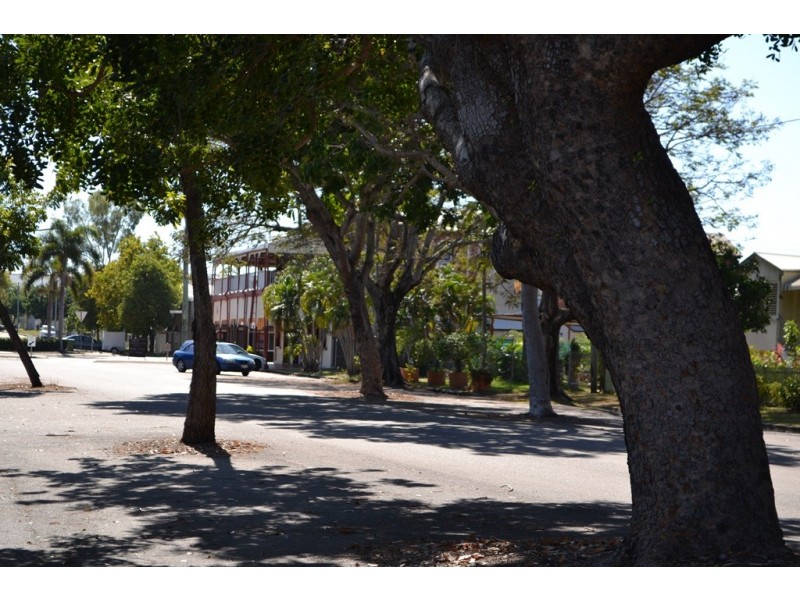 11 MACROSSAN STREET, South Townsville QLD 4810