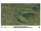 Lot 394 Cameron Road, Reid River QLD 4816