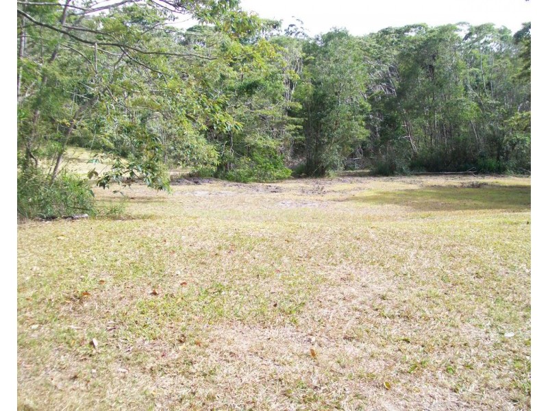 1966 Mt Spec Road, Paluma QLD 4816