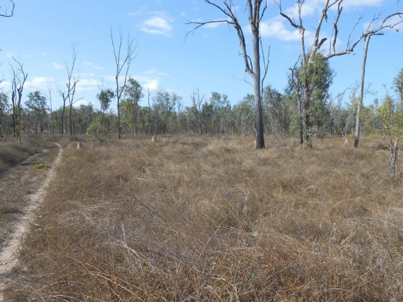 Lot 4 – 963 ROWE ROAD, Woodstock QLD 4816