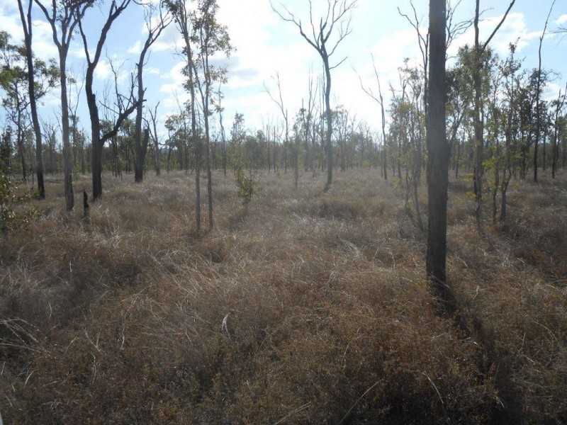 Lot 4 – 963 ROWE ROAD, Woodstock QLD 4816