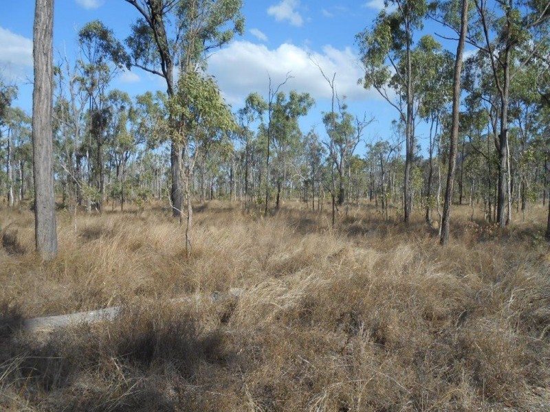 Lot 4 – 963 ROWE ROAD, Woodstock QLD 4816