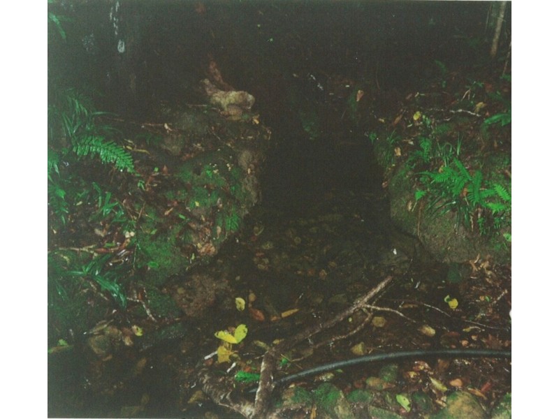 1966 Mt Spec Road, Paluma QLD 4816