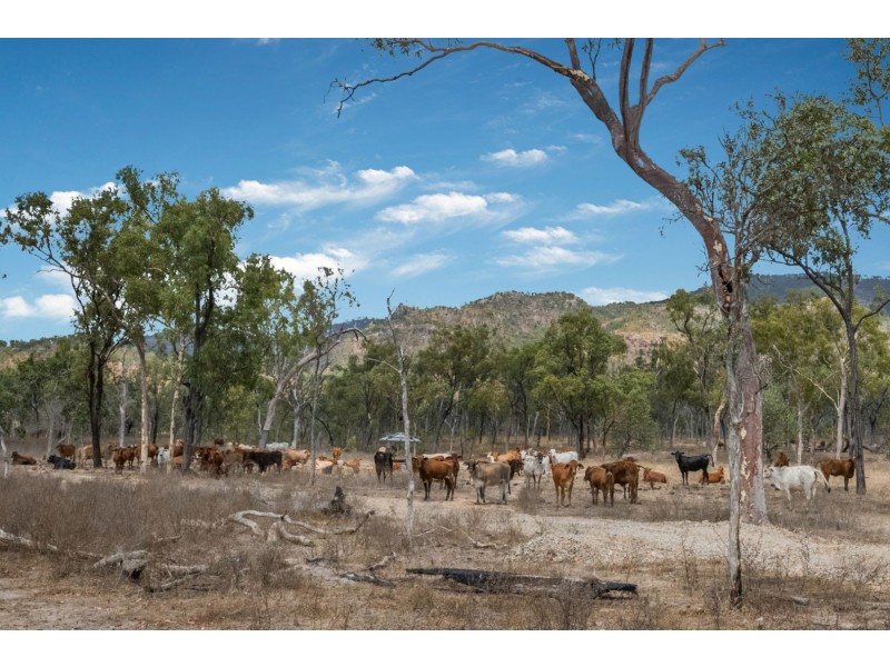 Lot 3 – 963 ROWE ROAD, Woodstock QLD 4816