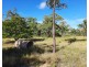 658 WEIR ROAD, Breddan QLD 4820