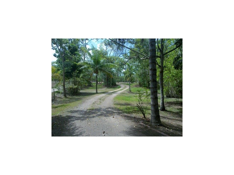 000 Forestry Rd, Bluewater Park QLD 4818