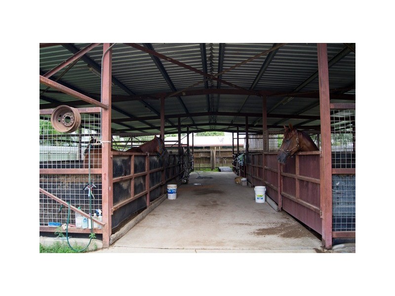 19 Watt Street, Wulguru QLD 4811