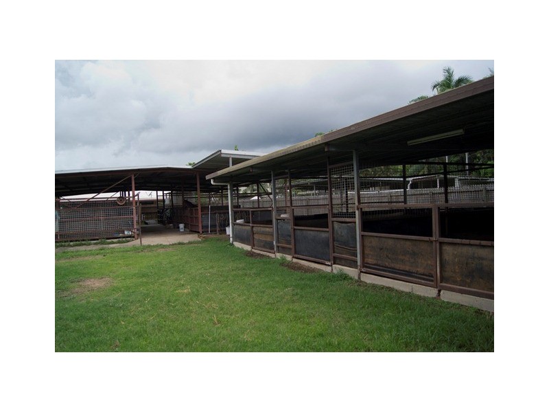 19 Watt Street, Wulguru QLD 4811