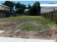 3 Plant, West End QLD 4810
