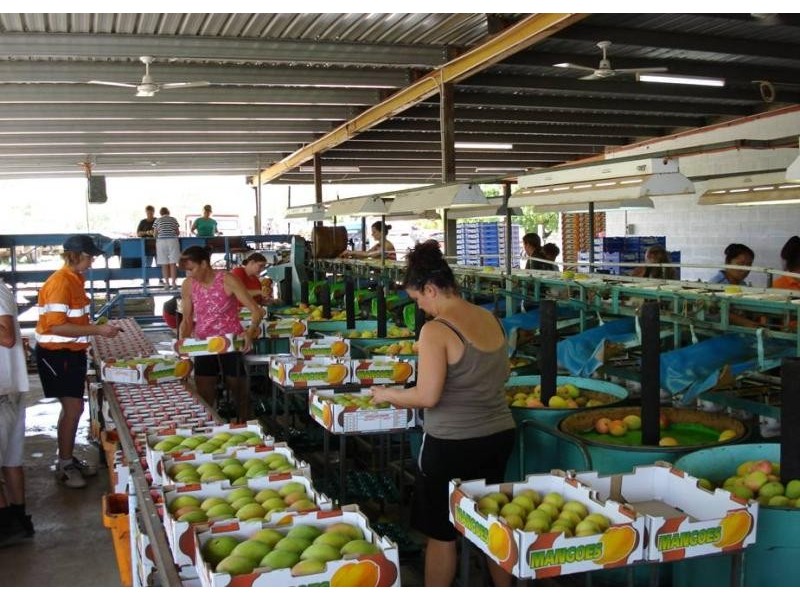 3113 Collinsville road, Bowen QLD 4805