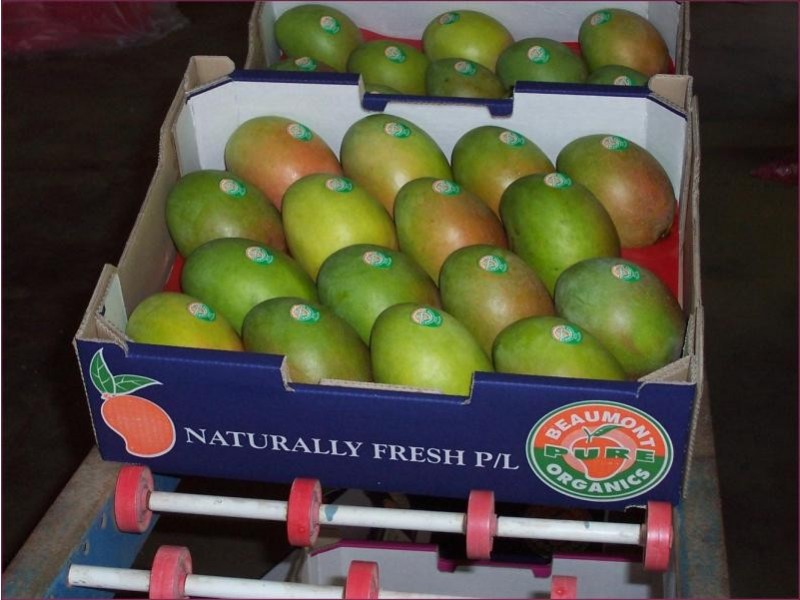 3113 Collinsville road, Bowen QLD 4805