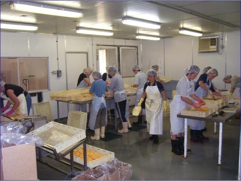 3113 Collinsville road, Bowen QLD 4805