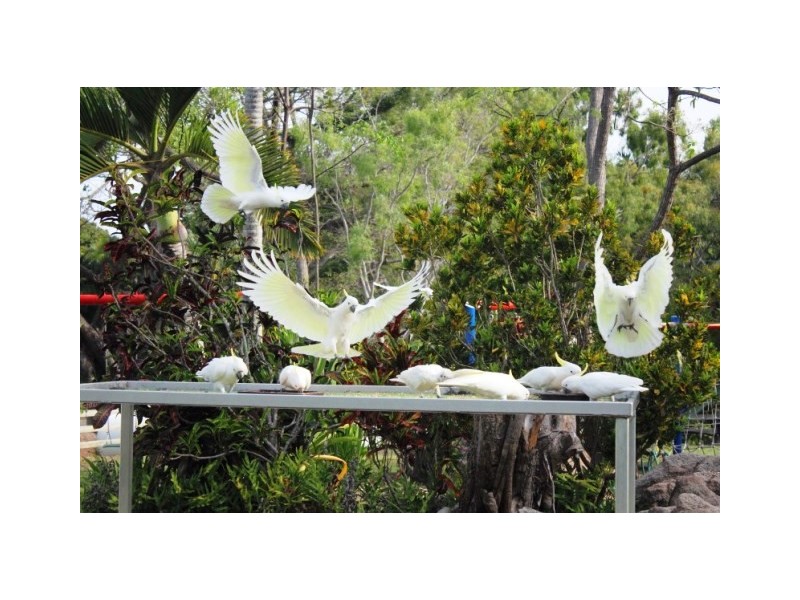 133/61-79 Mandalay Avenue, Nelly Bay QLD 4819