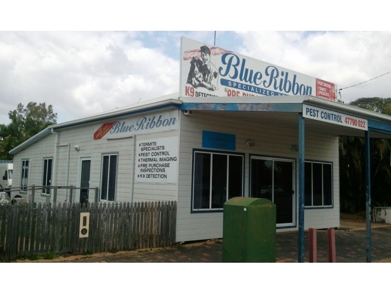 146 Ross River Road, Mundingburra QLD 4812
