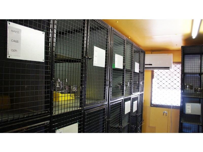 49 Texas Road, Jensen QLD 4818