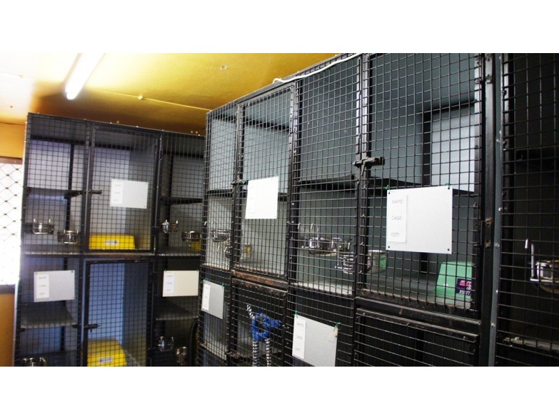 49 Texas Road, Jensen QLD 4818