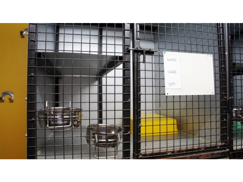 49 Texas Road, Jensen QLD 4818