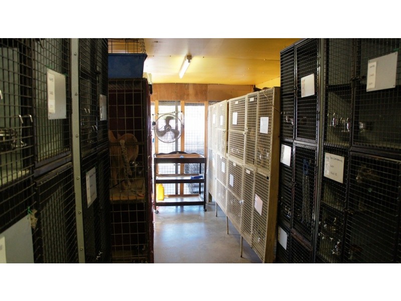 49 Texas Road, Jensen QLD 4818