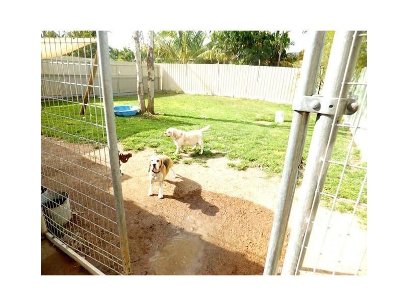 49 Texas Road, Jensen QLD 4818