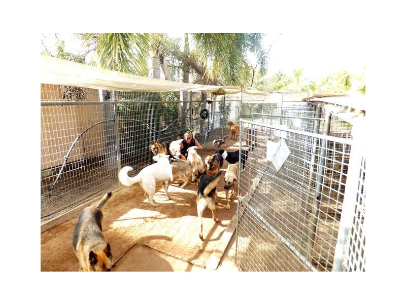 49 Texas Road, Jensen QLD 4818