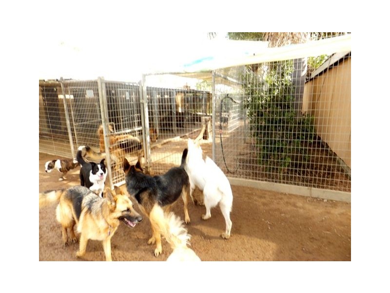 49 Texas Road, Jensen QLD 4818