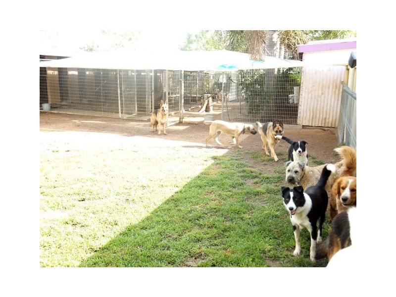 49 Texas Road, Jensen QLD 4818