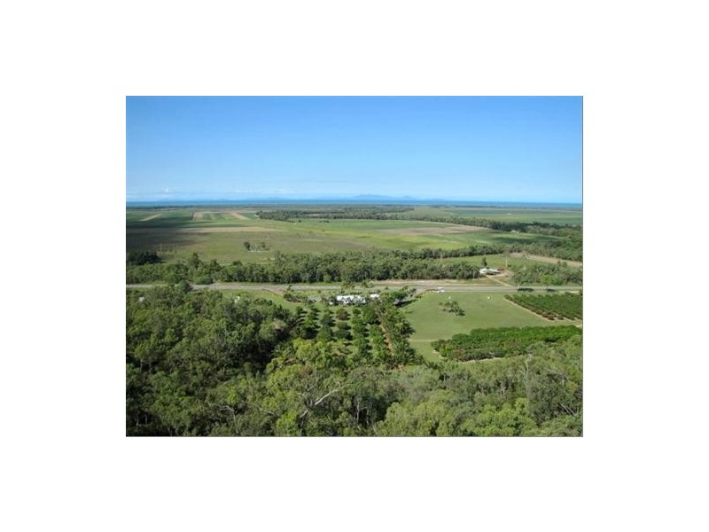 1 and 45587 Bruce Highway, Mutarnee QLD 4816