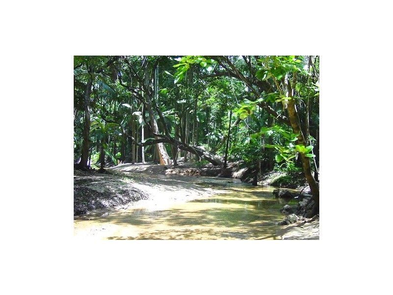 1 and 45587 Bruce Highway, Mutarnee QLD 4816