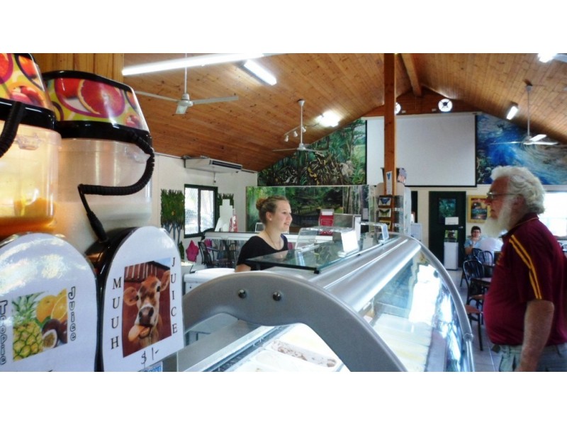 1 and 45587 Bruce Highway, Mutarnee QLD 4816