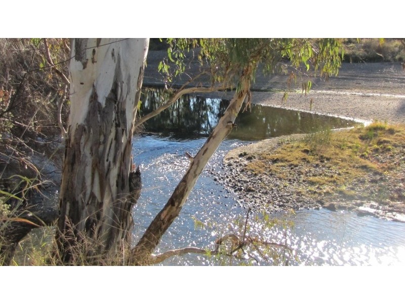 Texas NSW 4385
