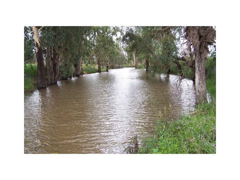 Texas NSW 4385