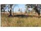Texas NSW 4385
