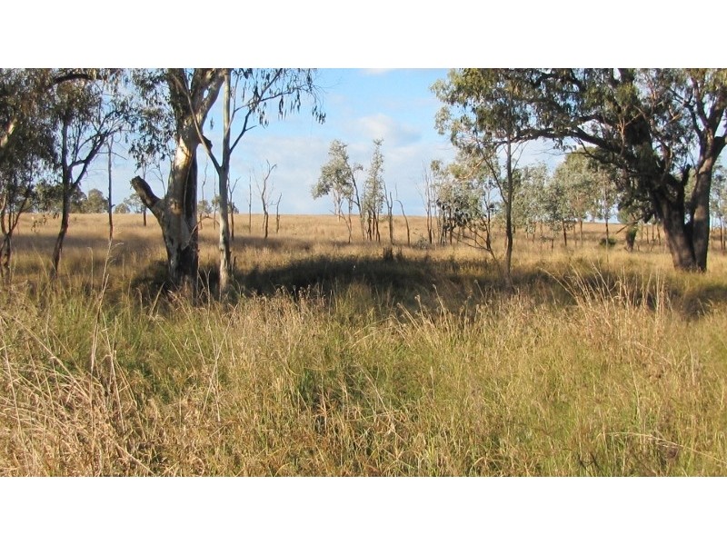 Texas NSW 4385